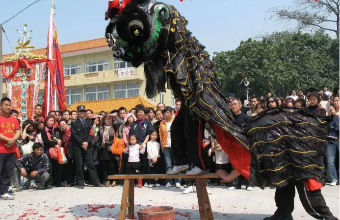 松岗七星狮舞的舞蹈语汇相当丰富,有骝马步,弓步,麒麟步,彪步,狮子