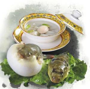 白颠疯病可以治愈吗_白肺是可以治愈的吗_肺钎维化可以治愈吗